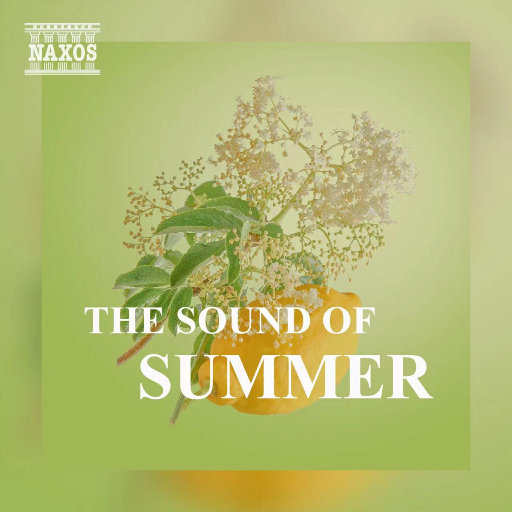 扒开女仆❌狂揉❌难受
